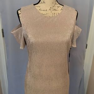 Calvin Klein Blush shimmer Dress 10